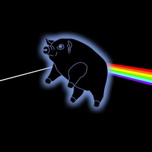 Pigs on the Wing - Pink Floyd tribute band - album image