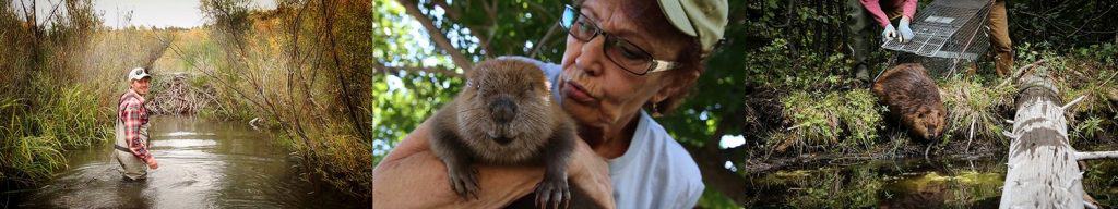 The Beaver Believers - film images